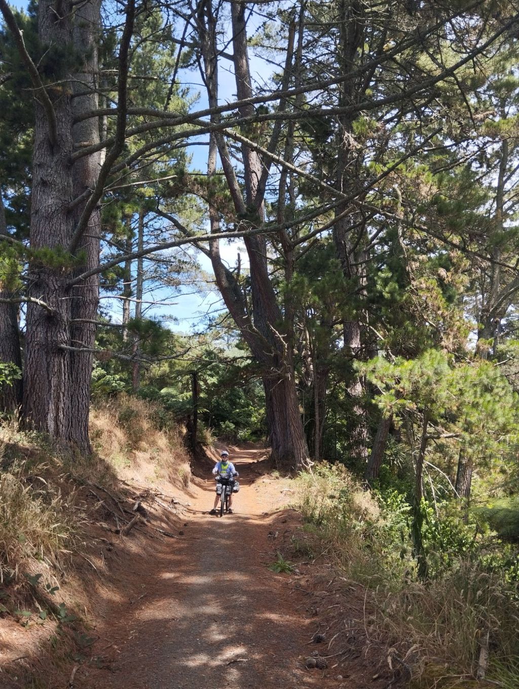 Short fifth day to&nbsp;Mangokino