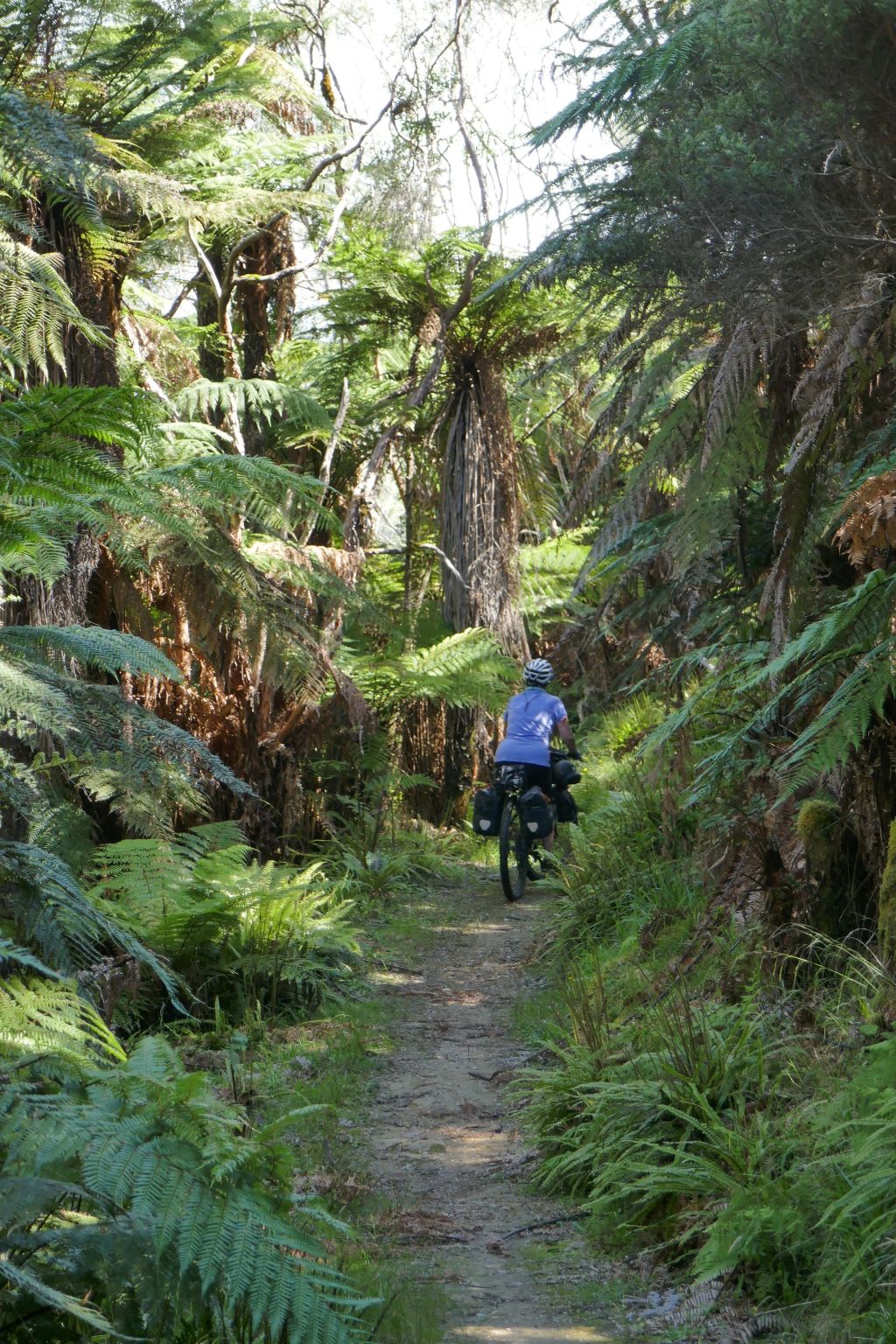 Day 9 and 10, Whanganui National park and jet&nbsp;boat
